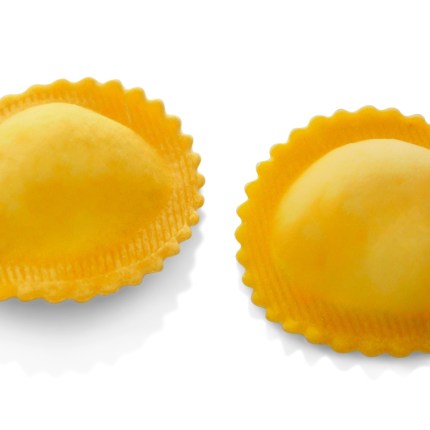 GIRASOLI ALL'ASTICE (3KG)