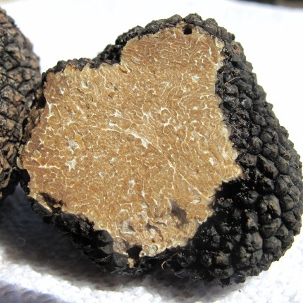TARTUFO ESTIVO/ FROZEN TRUFFLE 1KG